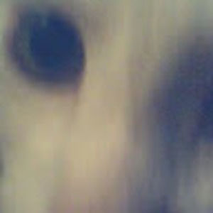 Meet your Posher, Paul